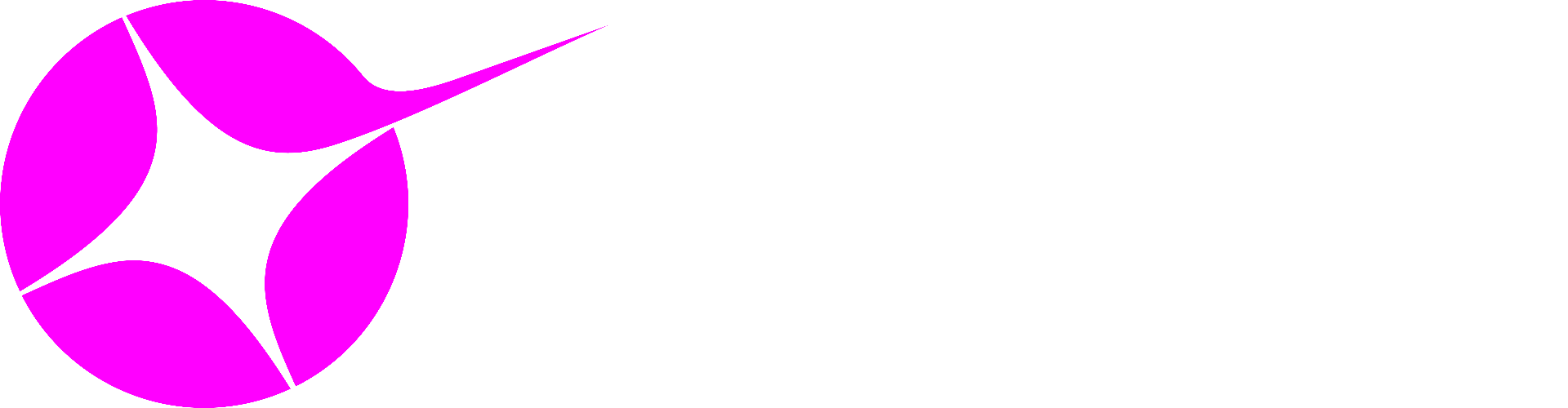Agence NIKITA